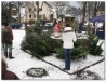 weihnachtsbaumverkauf200861.jpg