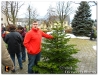 Weihnachtsbaumverkauf_201208.jpg