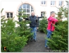 Weihnachtsbaumverkauf_201209.jpg