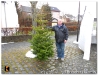 Weihnachtsbaumverkauf_201211.jpg